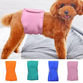 Физиологические штаны, подгузник для щенка, Однотонный уход за здоровьем, Летняя Защита от домогательств для домашних собак на лето