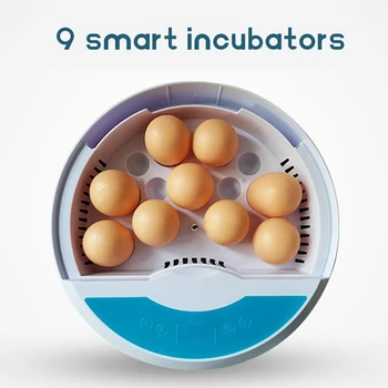 Инкубатор для цыплят, инкубатор для яиц и птиц, 9 предметов небольшого домашнего инкубатора для яиц и птиц, штепсельная вилка ЕС 1