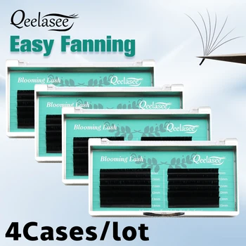 Qeelasee 4 коробки Auto Flowering Rapid Blooming Fan Easy ресницы